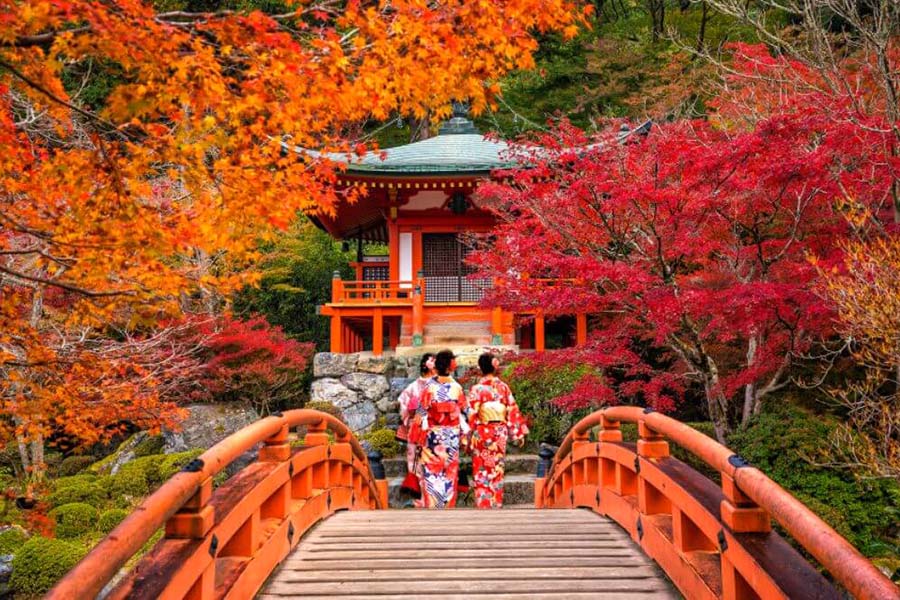 files/Japan-Fall-Foliage-Discover-Stunning-Autumn-Leaves-in-Japan.jpg